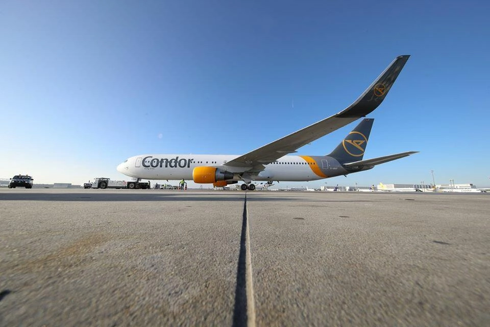 Condor
