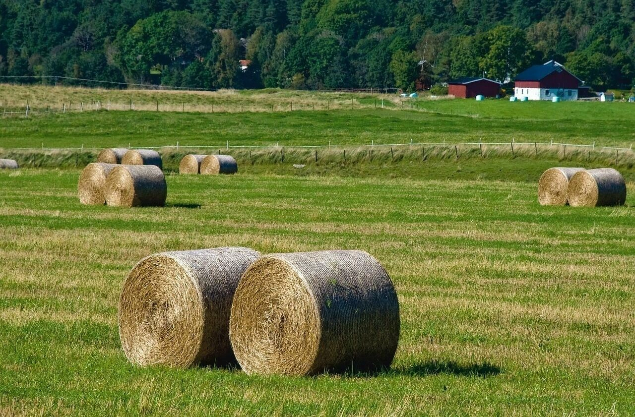 Agroturystyka
