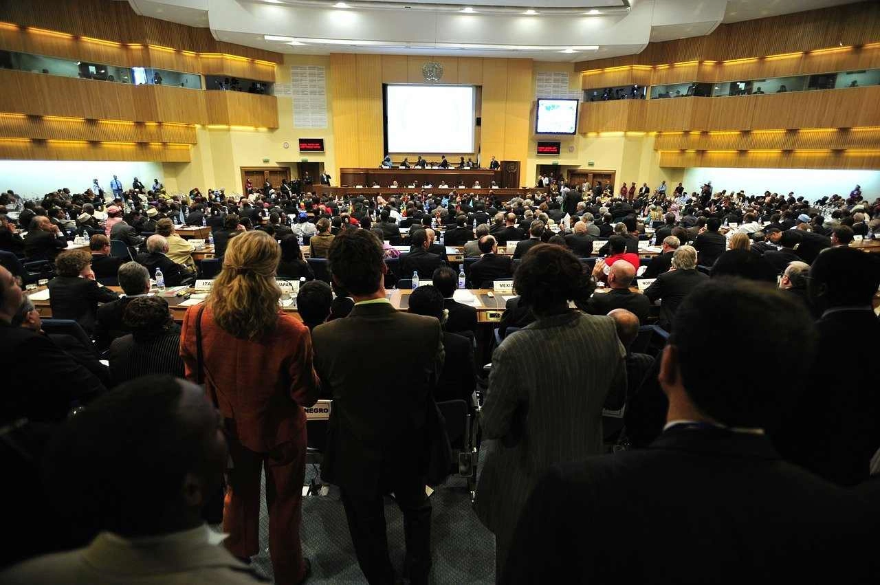 konferencja