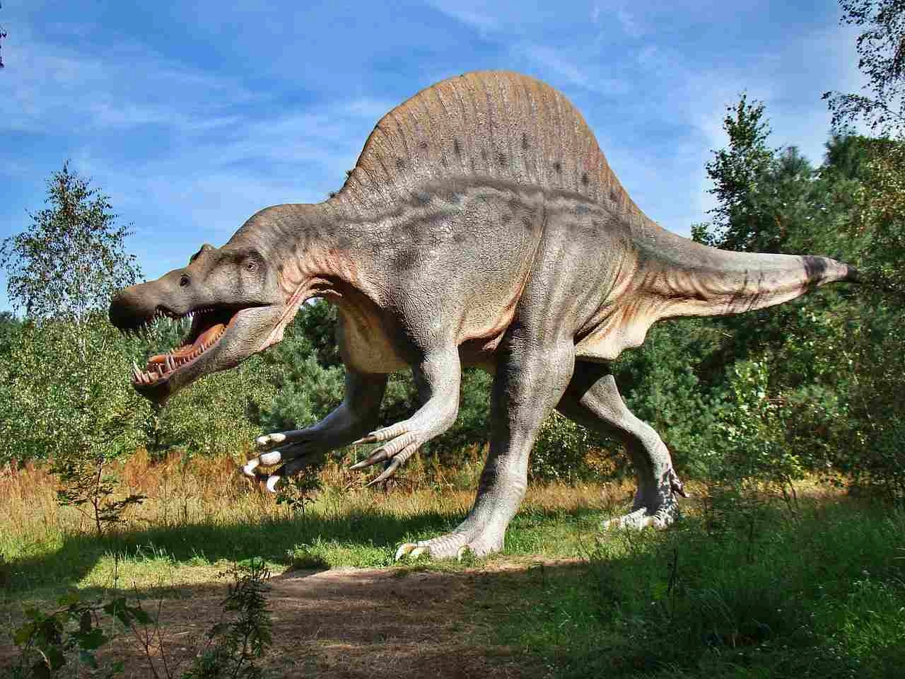 park_dinozaurow